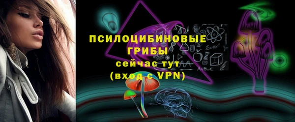 экстази Ладушкин