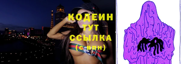 хмурый Лагань