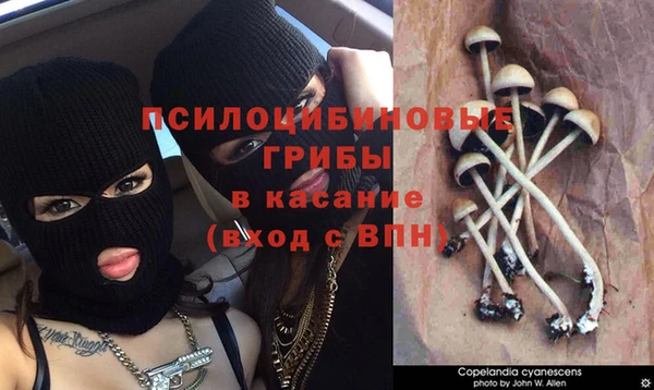 хмурый Лагань
